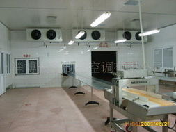 淄博天科制冷空调 专业屠宰设备与肉类初加工解决方案